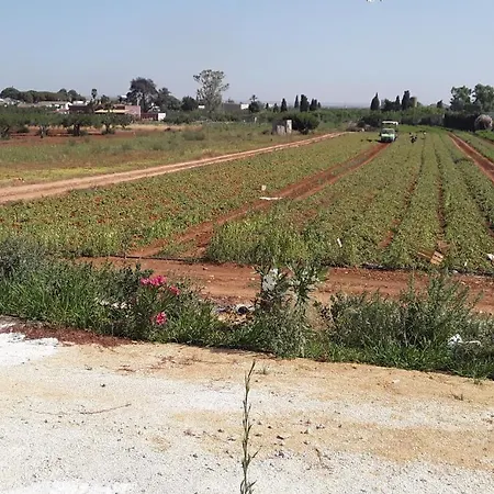 בית הארחה La Campagnola